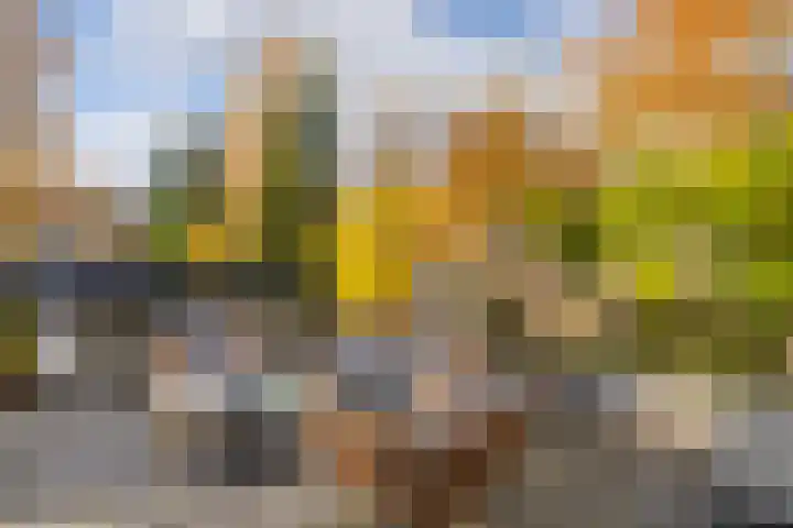 Röntgenlaan 30 Ede thumbnail 34