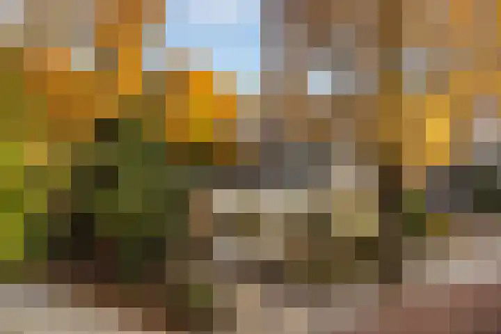 Röntgenlaan 30 Ede thumbnail 37
