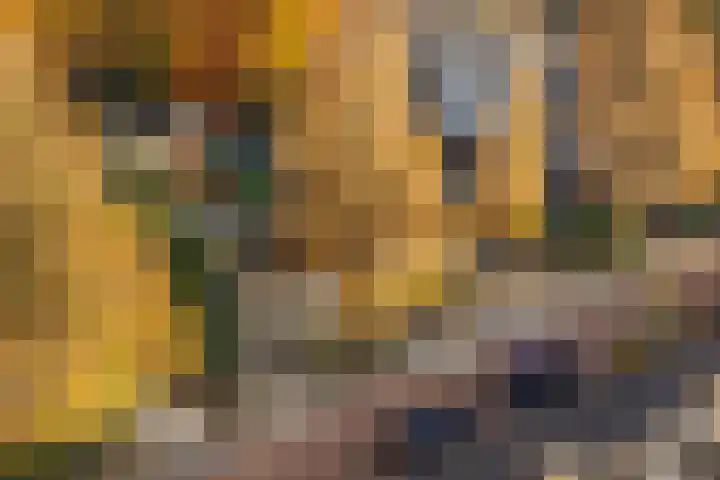 Röntgenlaan 30 Ede thumbnail 38