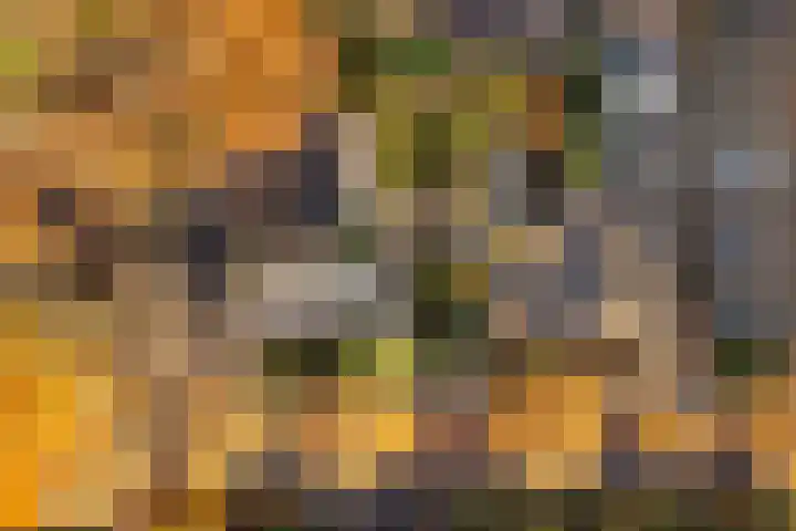 Röntgenlaan 30 Ede thumbnail 39