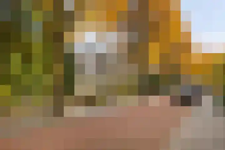 Röntgenlaan 30 Ede thumbnail 40