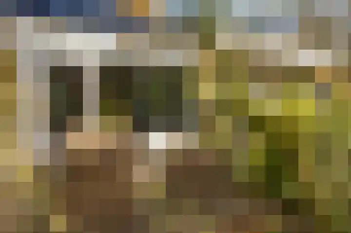 Röntgenlaan 30 Ede thumbnail 41