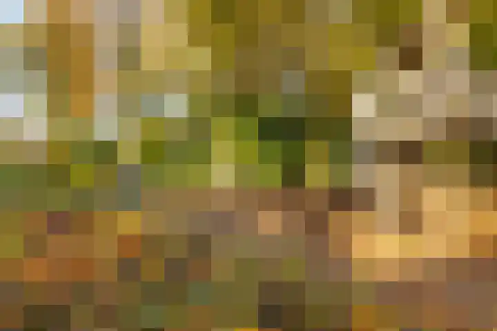 Röntgenlaan 30 Ede thumbnail 43