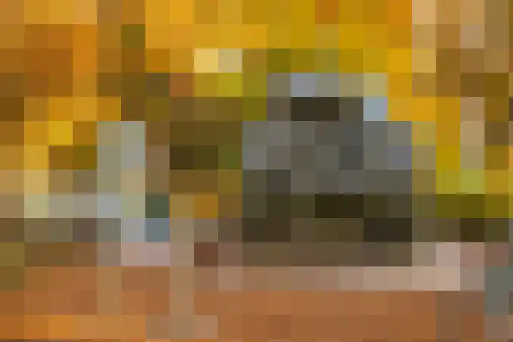 Röntgenlaan 30 Ede thumbnail 45