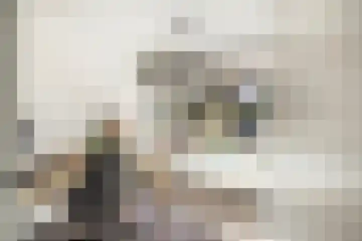 Röntgenlaan 30 Ede thumbnail 6
