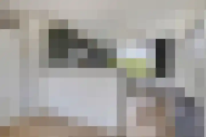 Röntgenstraat 23 Nijmegen thumbnail 5