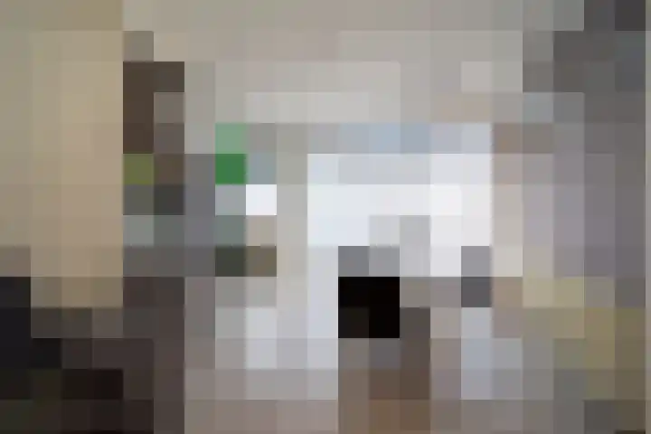 Röntgenstraat 25 Vlaardingen thumbnail 8