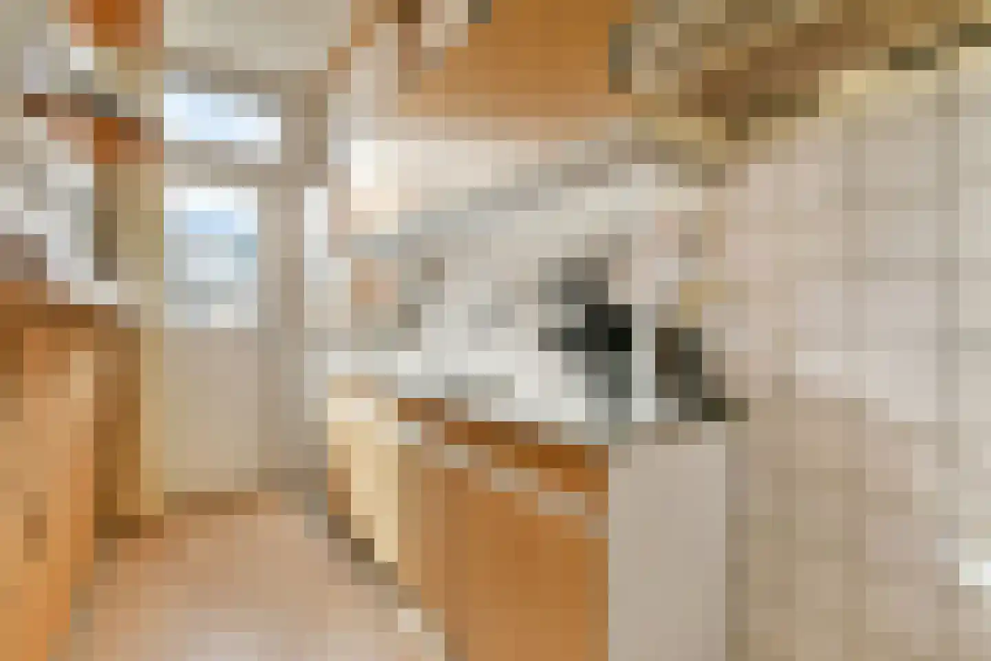 Röntgenstraat 27 Vlaardingen thumbnail 13