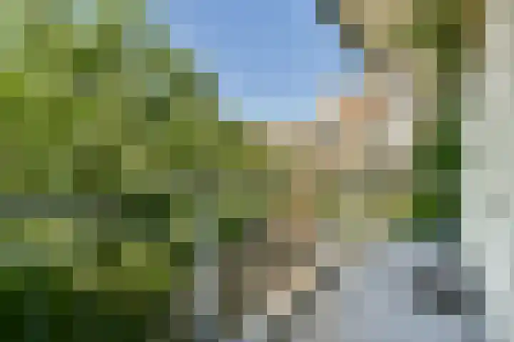 Röntgenstraat 35 A Vlaardingen thumbnail 7