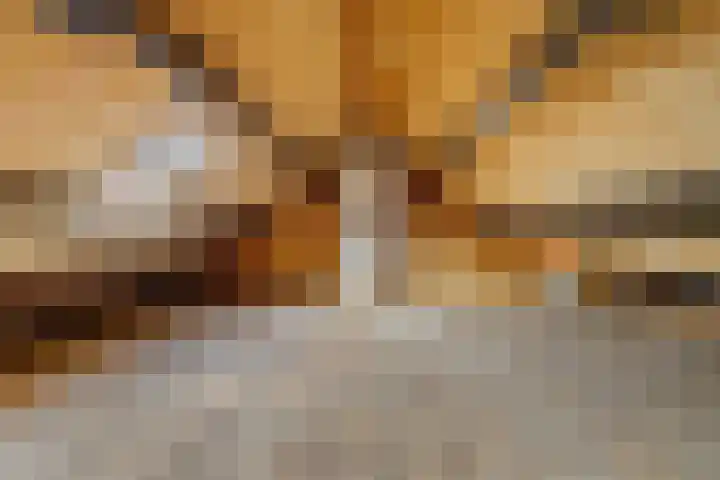 Röntgenstraat 4 Hilversum thumbnail 23