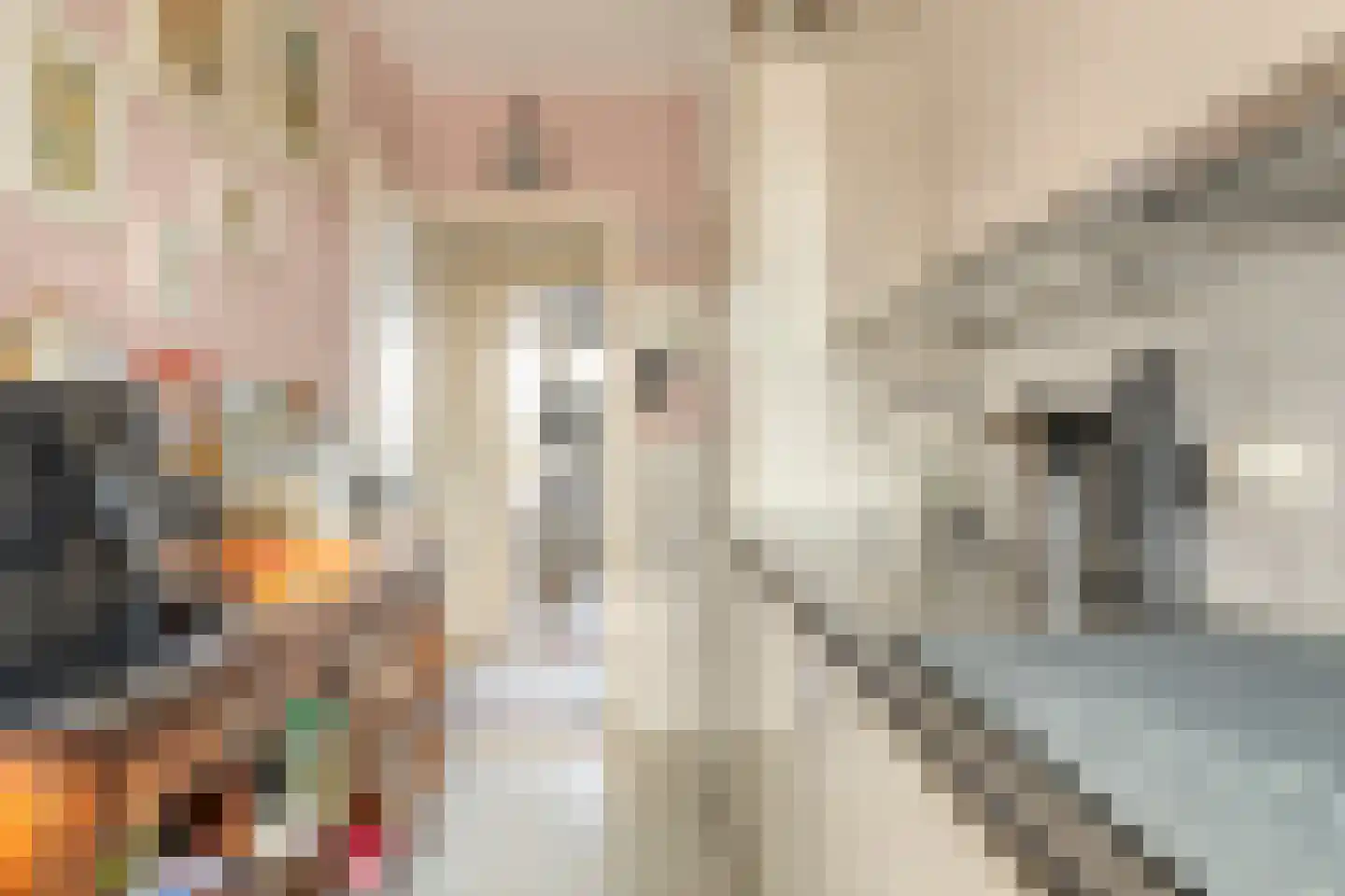 Röntgenstraat 5 Nijmegen thumbnail 18