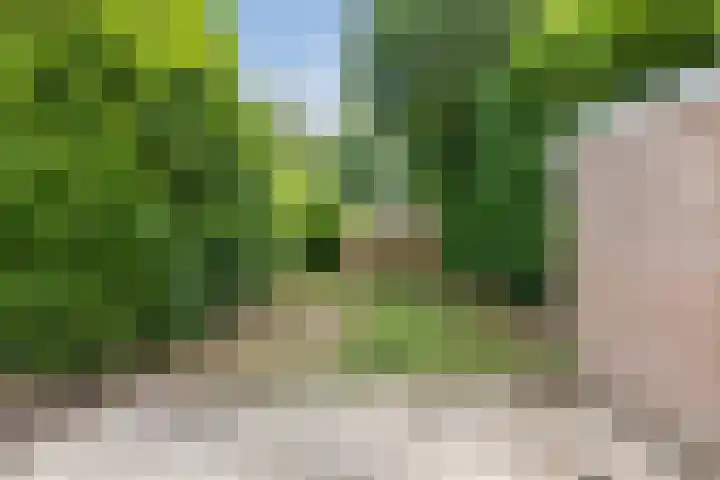 Röntgenstraat 6 Venlo thumbnail 33