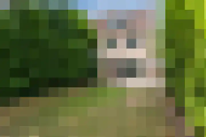 Röntgenstraat 6 Venlo thumbnail 35