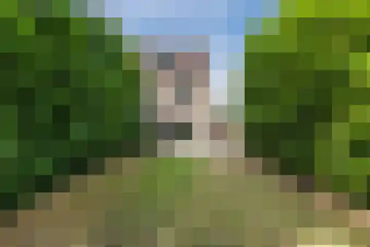 Röntgenstraat 6 Venlo thumbnail 36