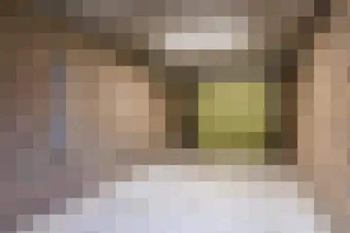 Röntgenstraat 6 Venlo thumbnail 37