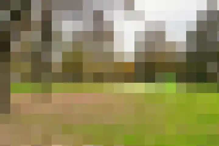 Röntgenstraat 7 C Vlaardingen thumbnail 42