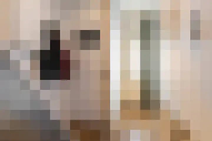 Röntgenstraat 8 Heerlen thumbnail 4
