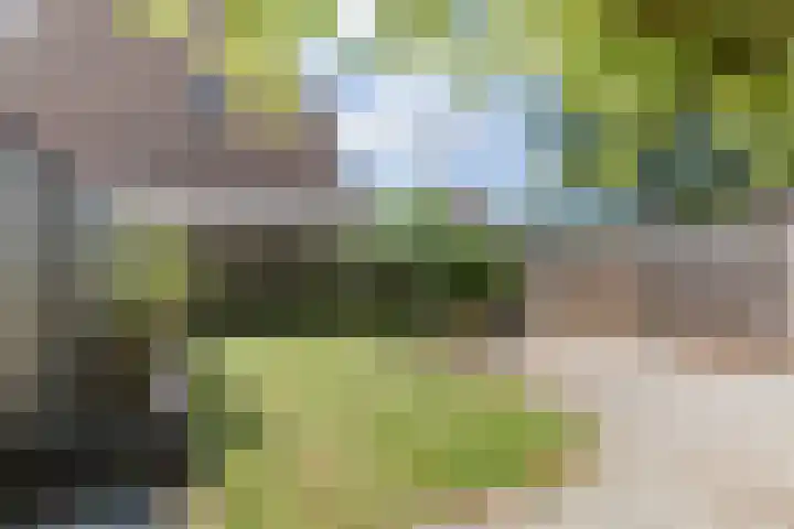 Röntgenstraat 8 Venlo thumbnail 32