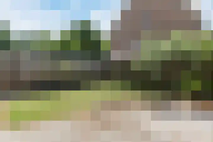 Röntgenstraat 8 Venlo thumbnail 33