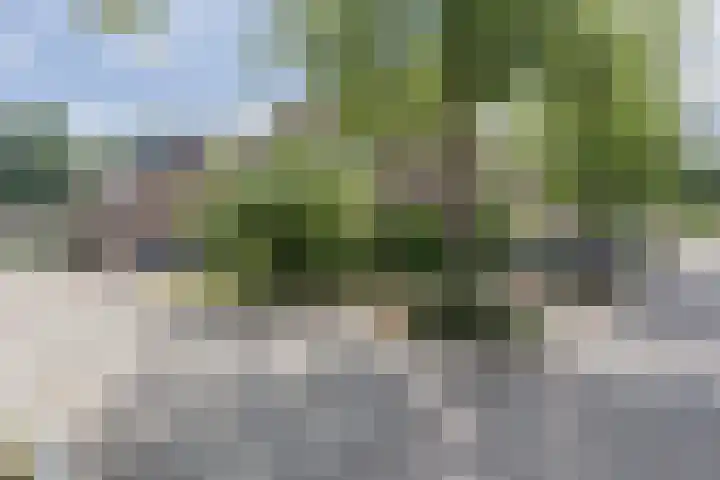 Röntgenstraat 8 Venlo thumbnail 38