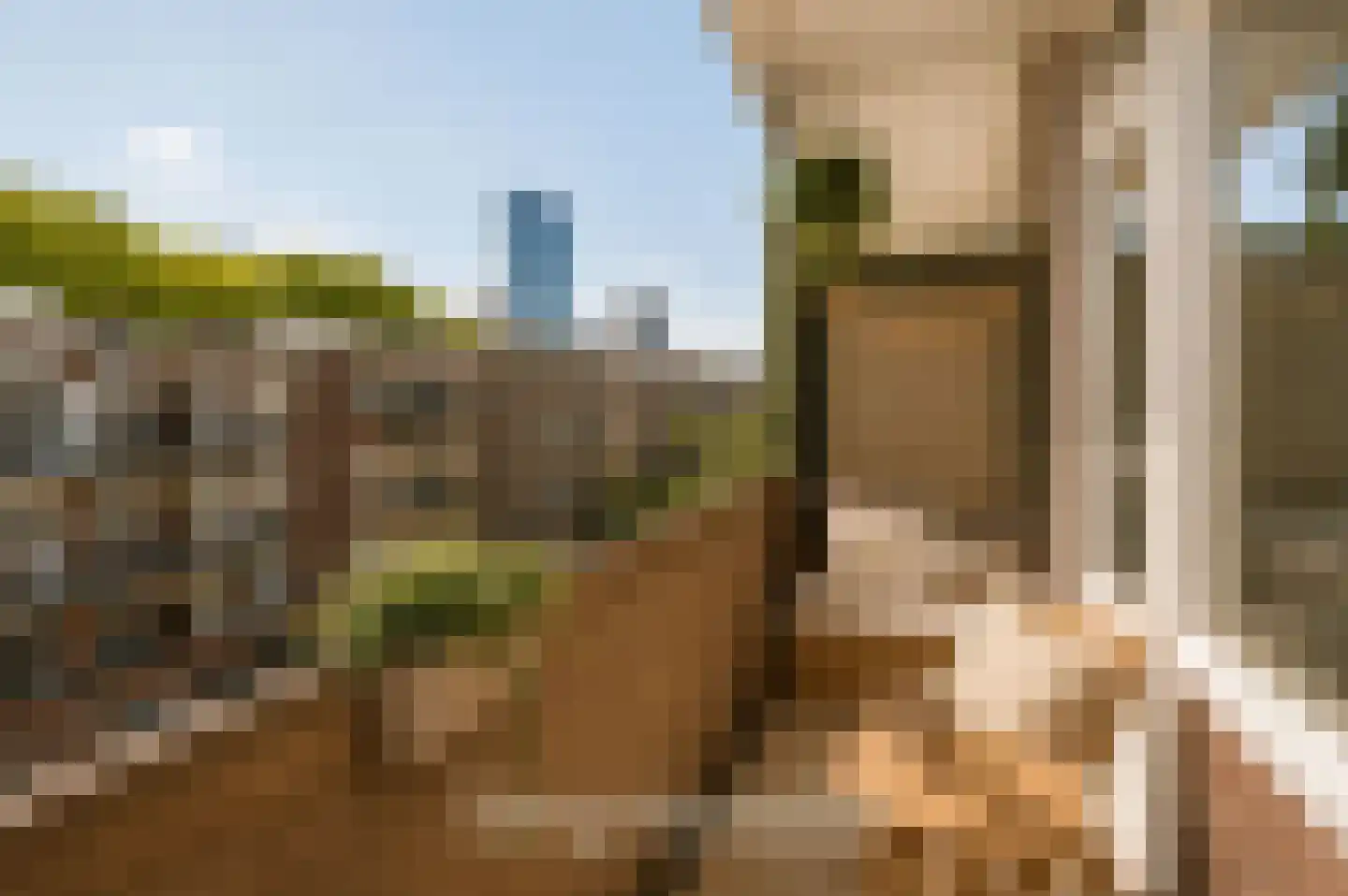 Roo-Valkstraat 12 D Rotterdam thumbnail 11
