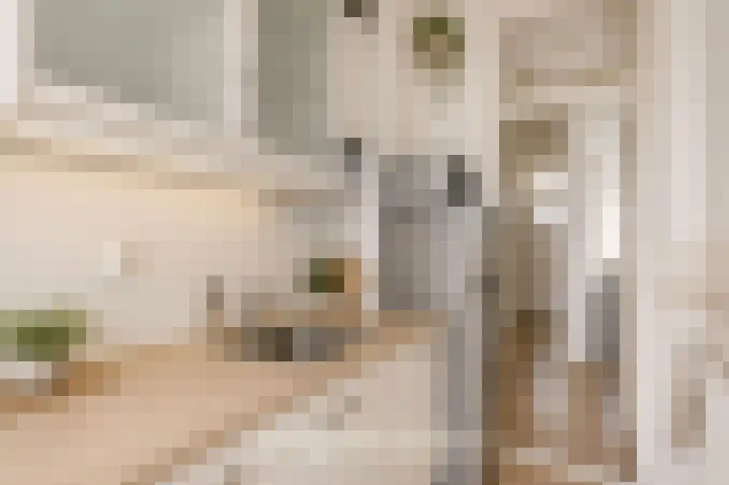 Roo-Valkstraat 12 D Rotterdam thumbnail 22