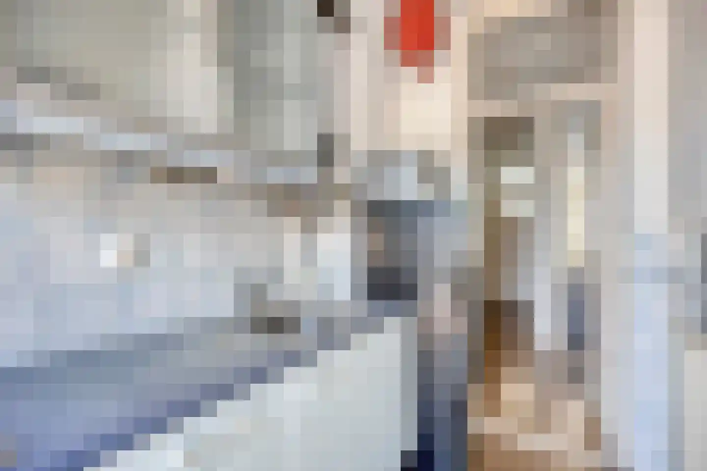 Roo-Valkstraat 12 D Rotterdam thumbnail 23
