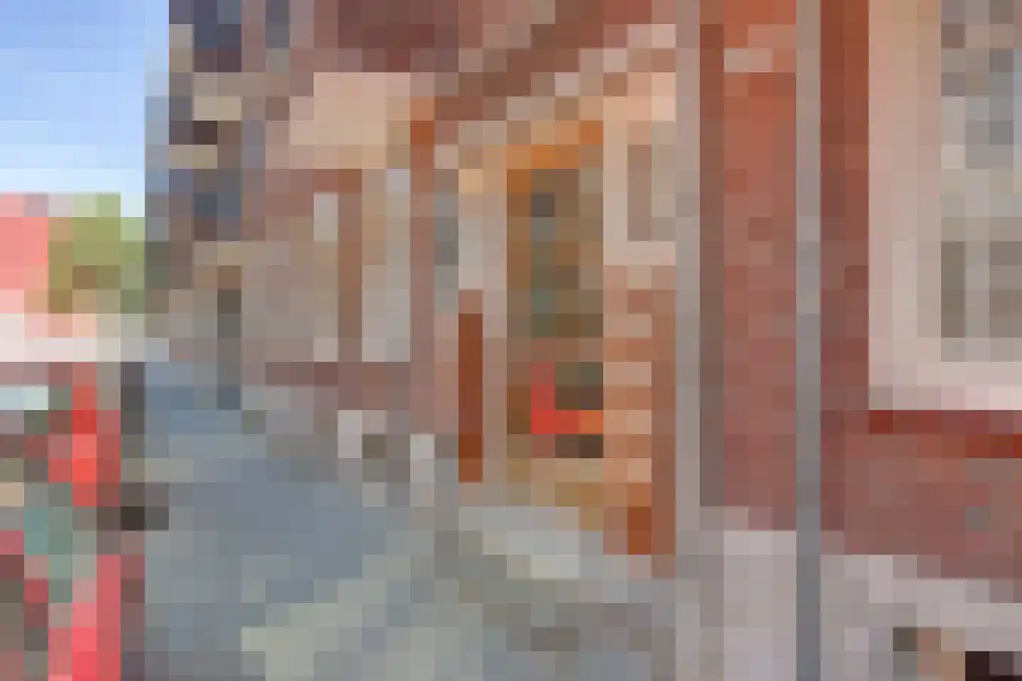 Roo-Valkstraat 16 C Rotterdam thumbnail 16