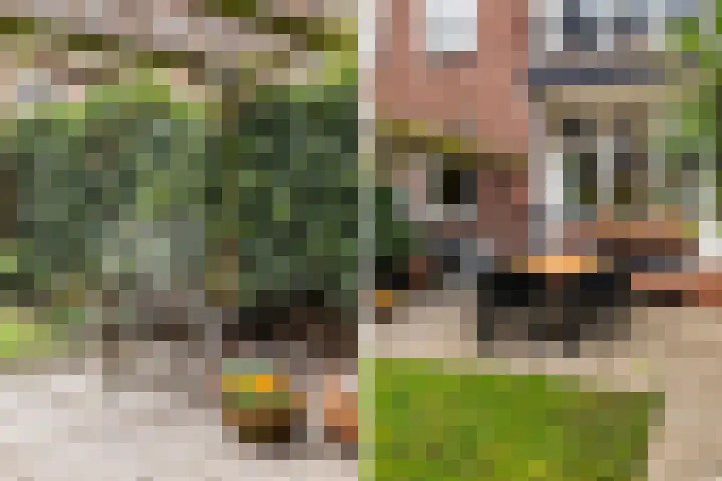 Roo-Valkstraat 18 A Rotterdam thumbnail 22