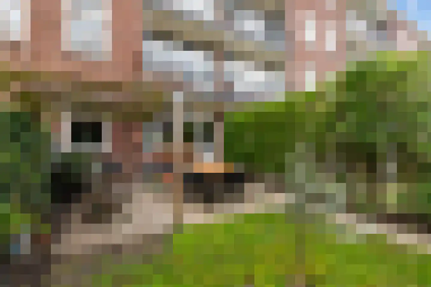 Roo-Valkstraat 18 B Rotterdam thumbnail 23