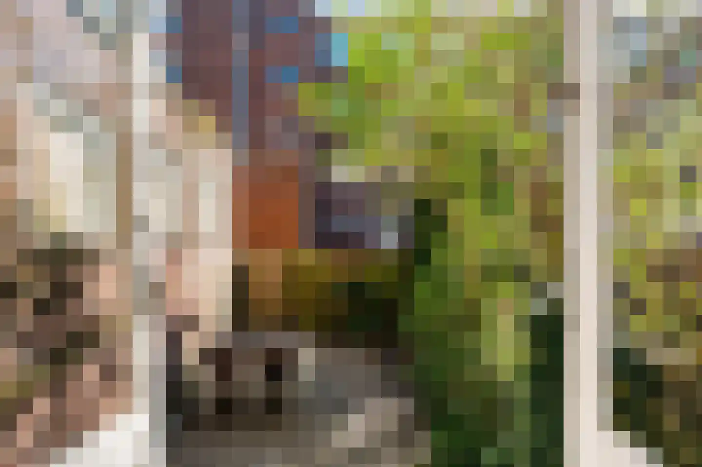 Roo-Valkstraat 2 A Rotterdam thumbnail 27