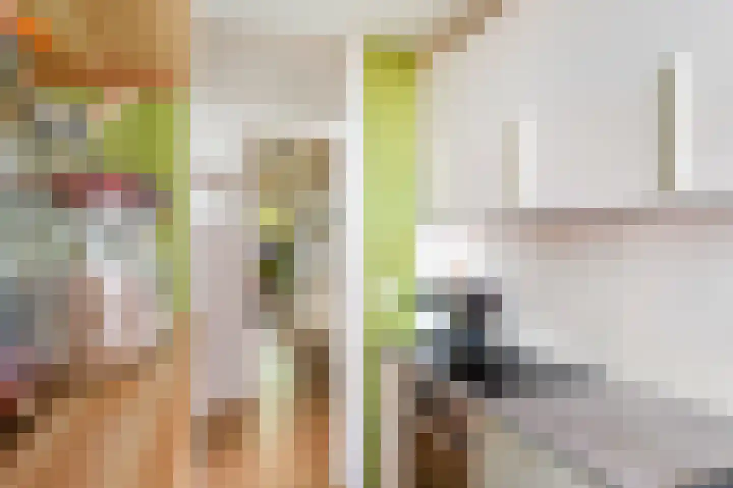 Roo-Valkstraat 2 D Rotterdam thumbnail 20