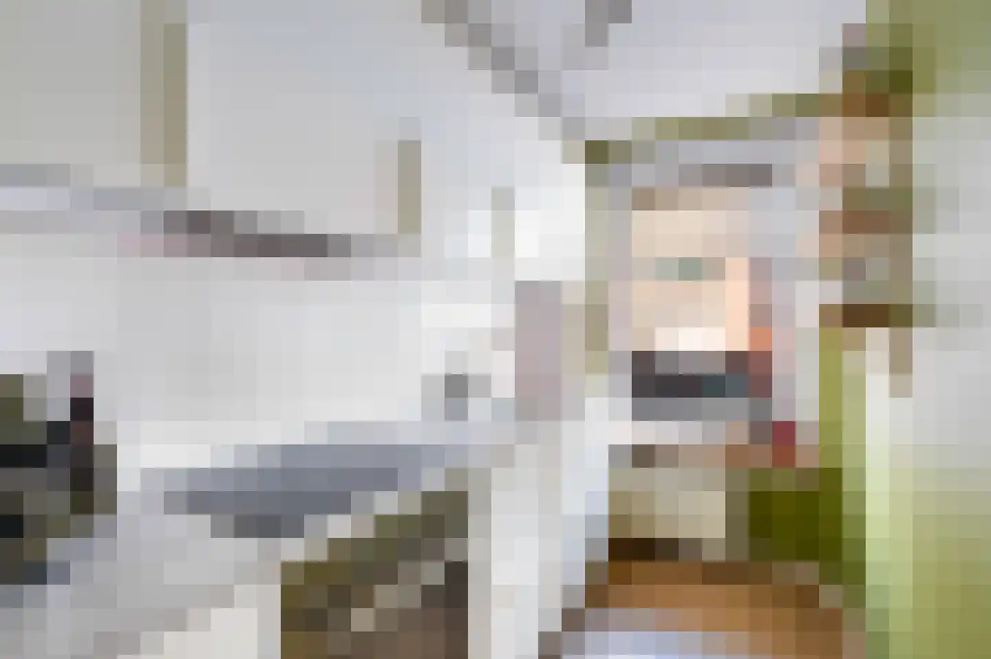 Roo-Valkstraat 2 D Rotterdam thumbnail 22
