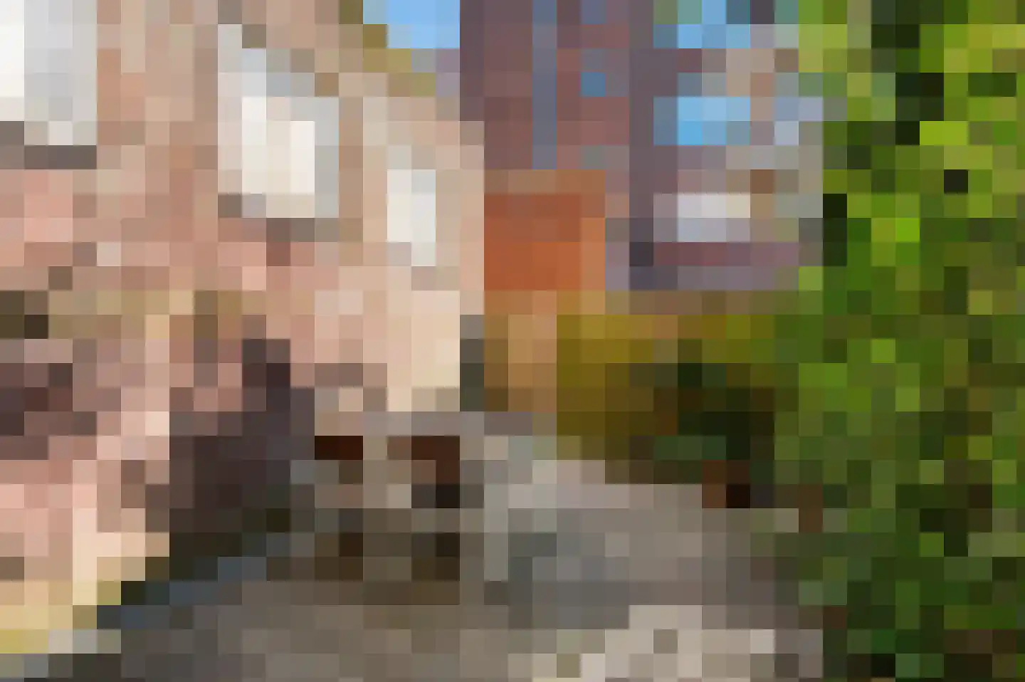 Roo-Valkstraat 2 D Rotterdam thumbnail 29
