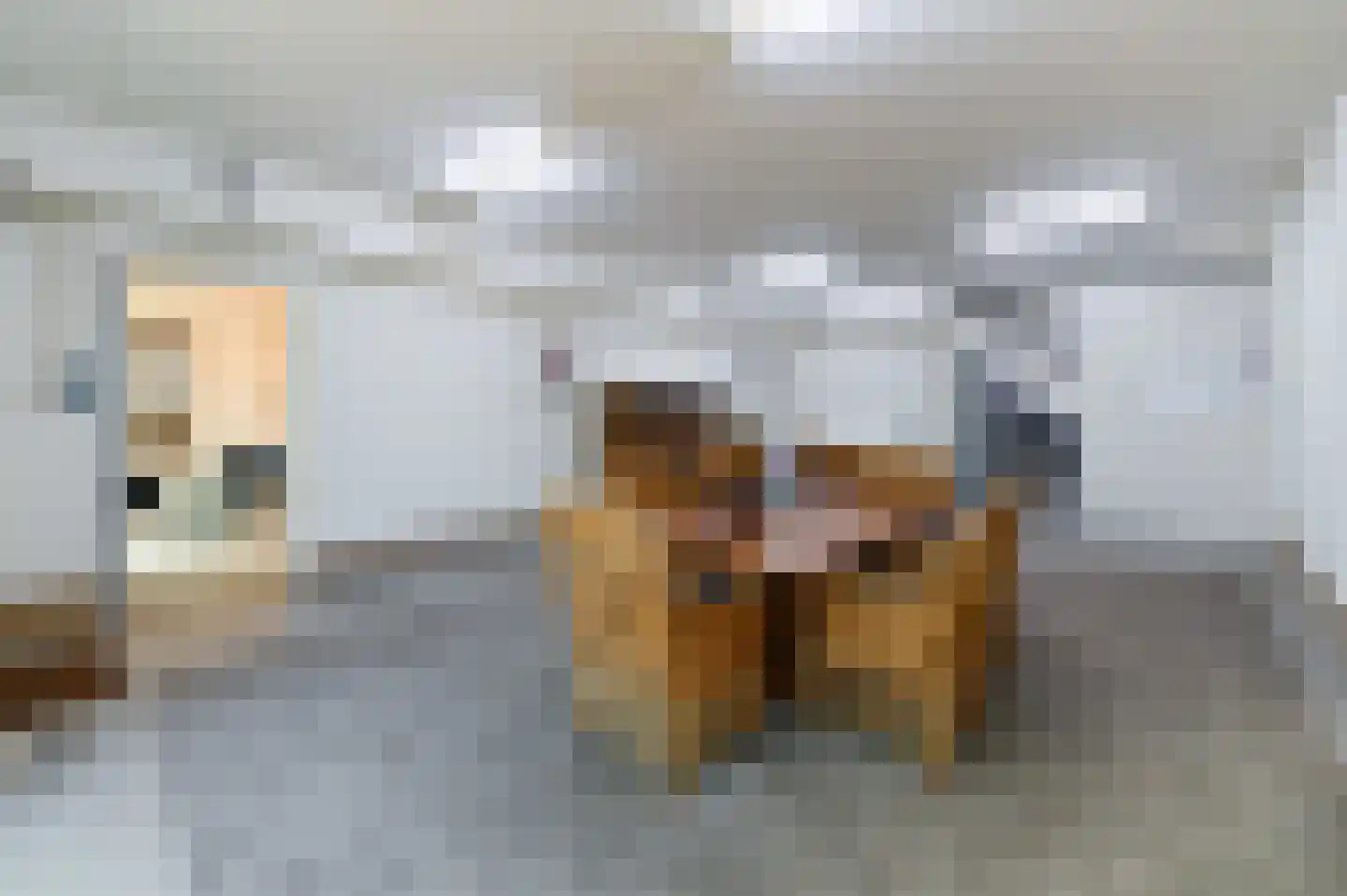 Roobeekweg 4 Arcen thumbnail 32
