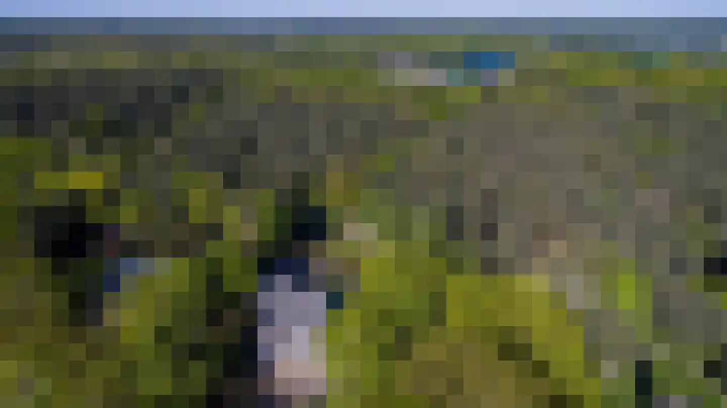 Roobeekweg 4 Arcen thumbnail 38
