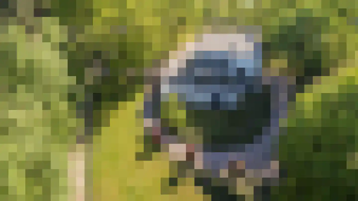Roobeekweg 4 Arcen thumbnail 39