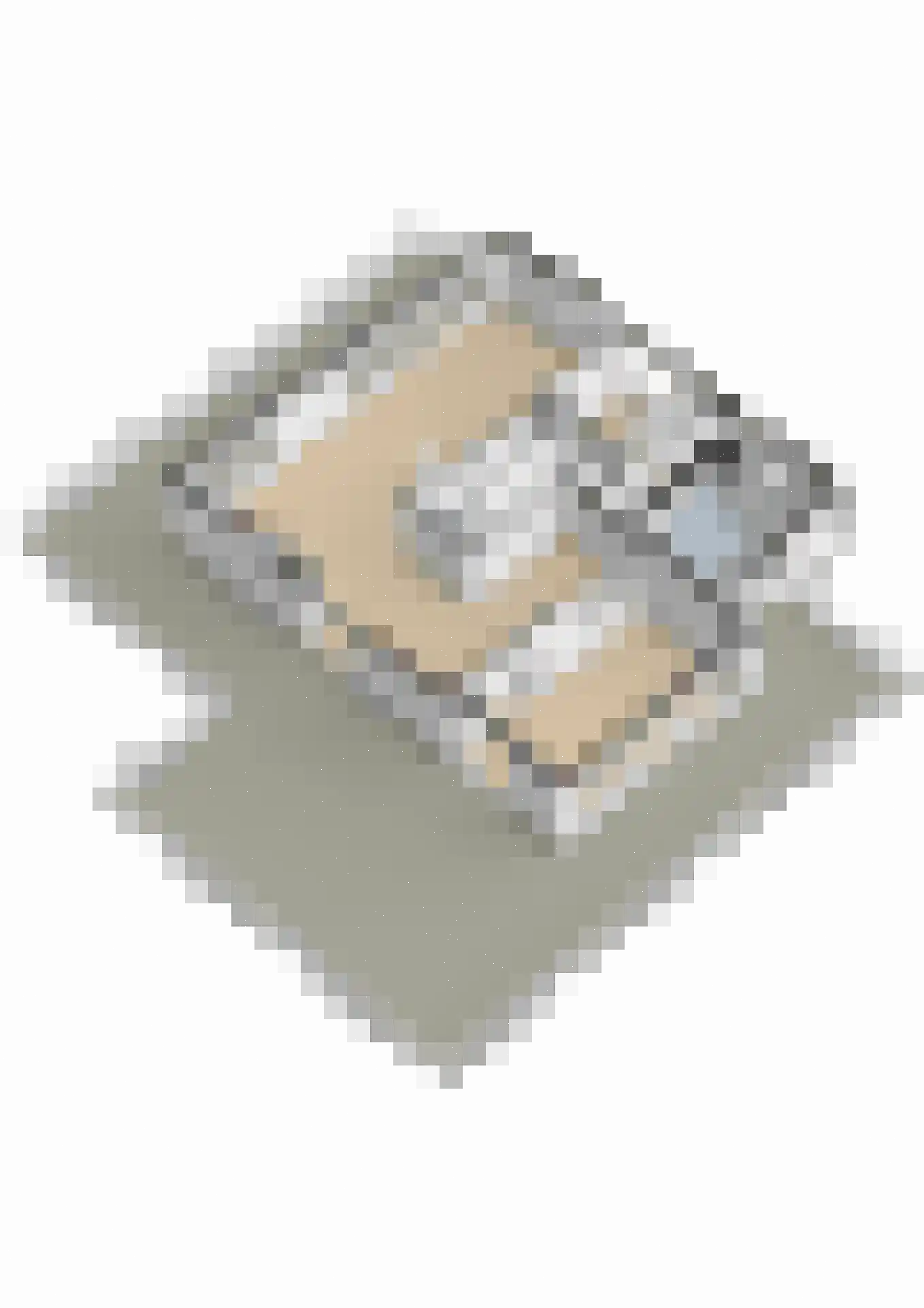 Roobeekweg 4 Arcen thumbnail 43