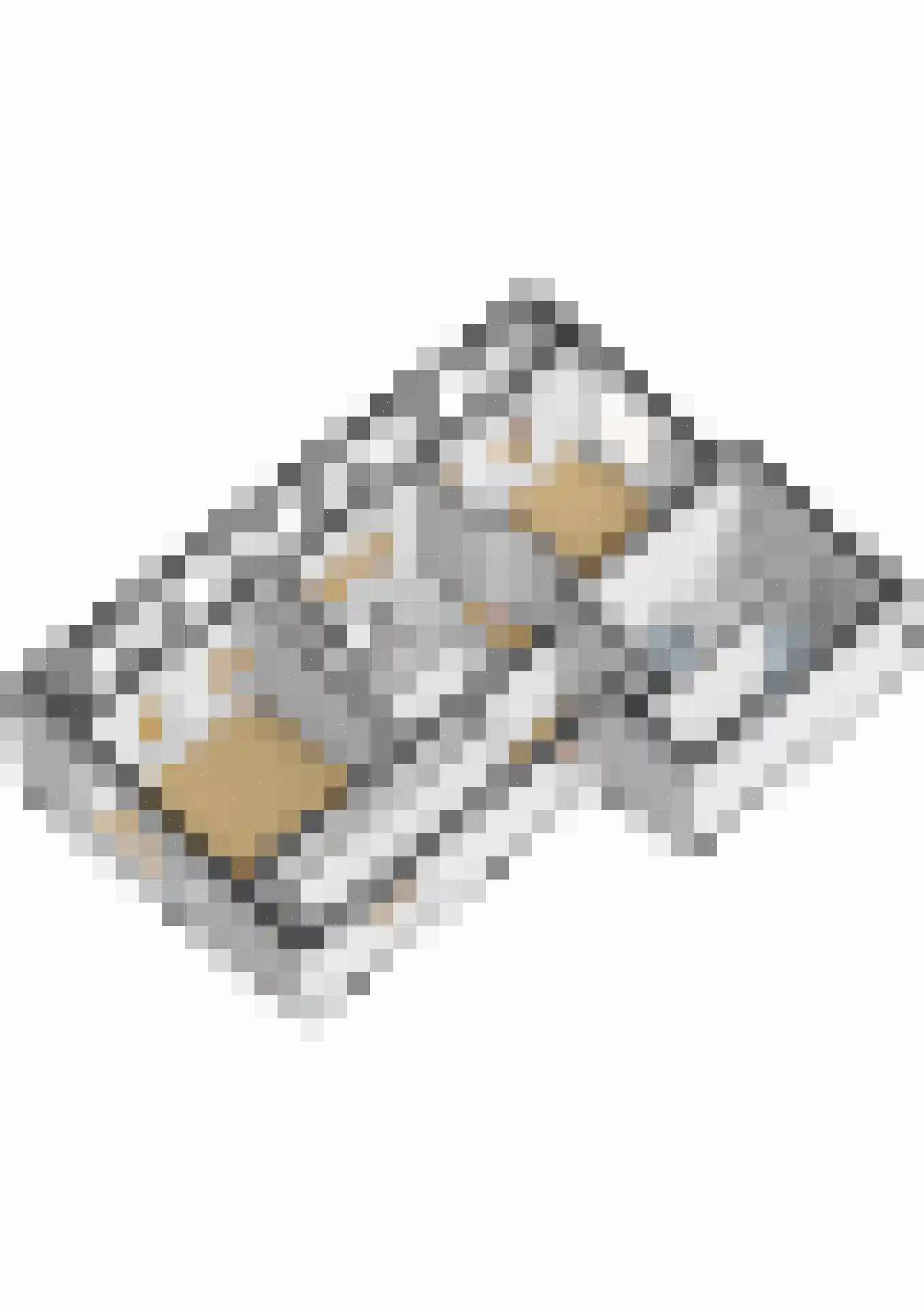 Roobeekweg 4 Arcen thumbnail 45