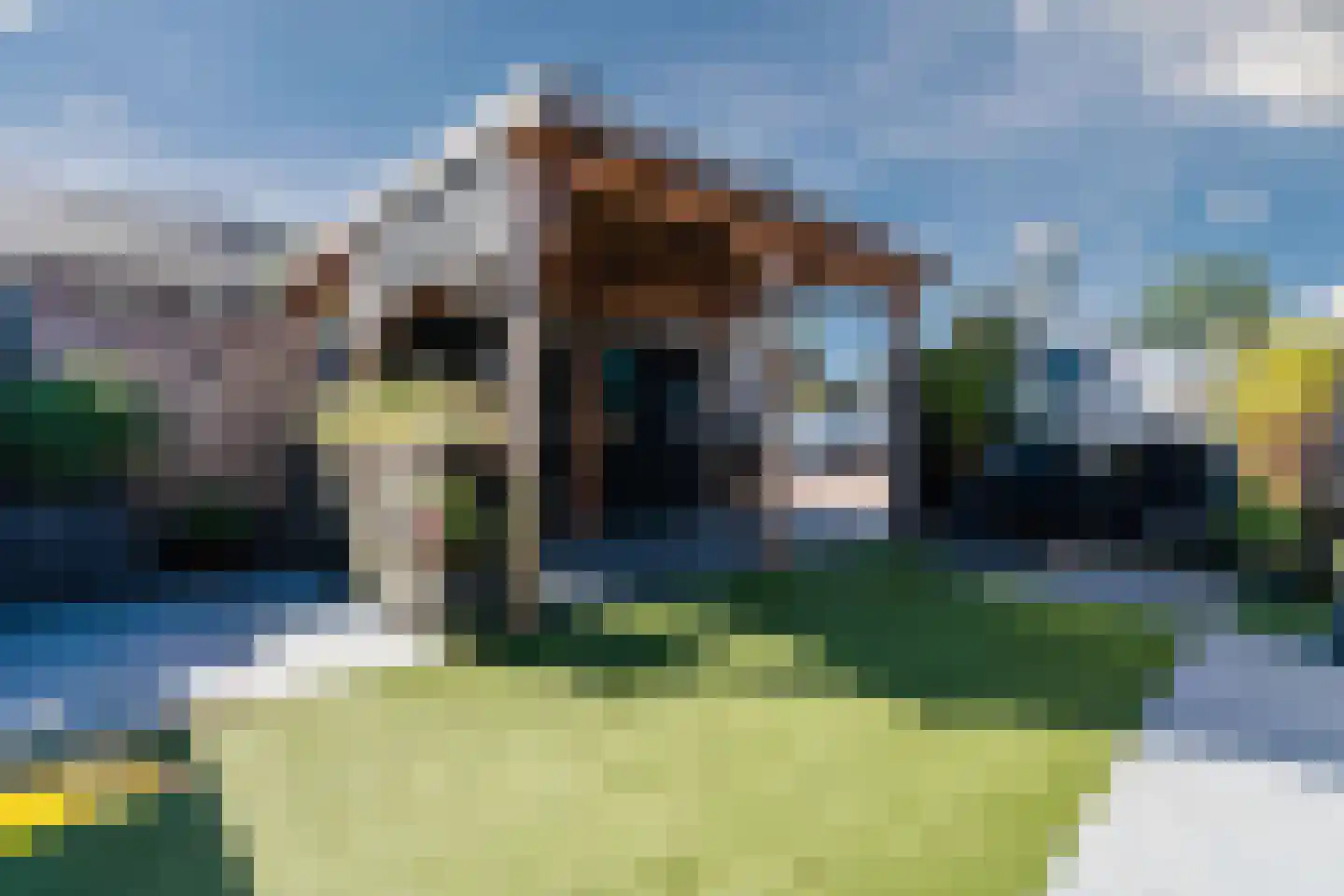 Rooboerskamp 41 Heerde thumbnail 33