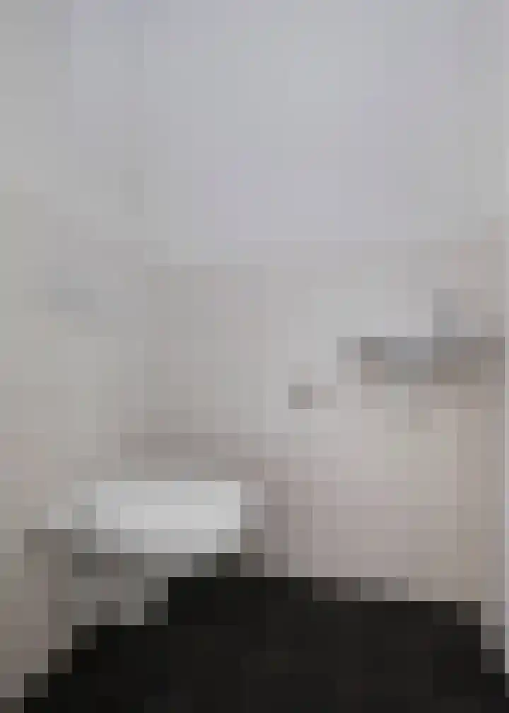 Roockershuys 23 Tuitjenhorn thumbnail 11