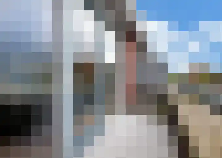 Roockershuys 23 Tuitjenhorn thumbnail 14
