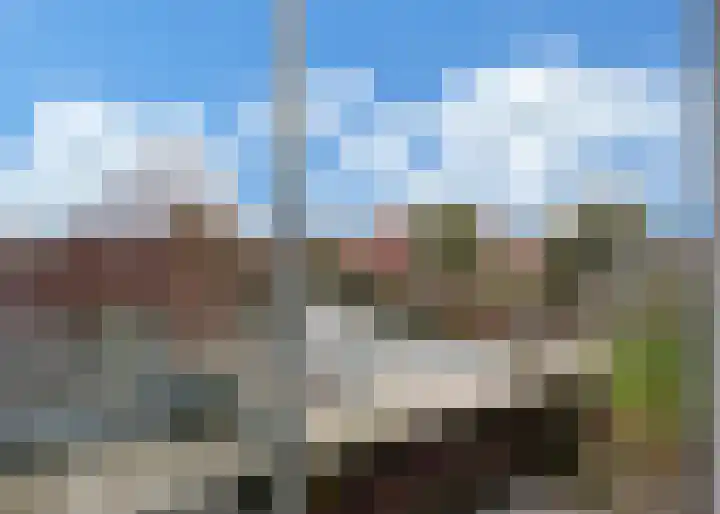 Roockershuys 23 Tuitjenhorn thumbnail 16
