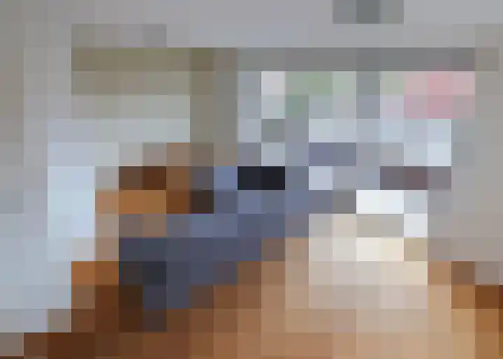 Roockershuys 23 Tuitjenhorn thumbnail 17