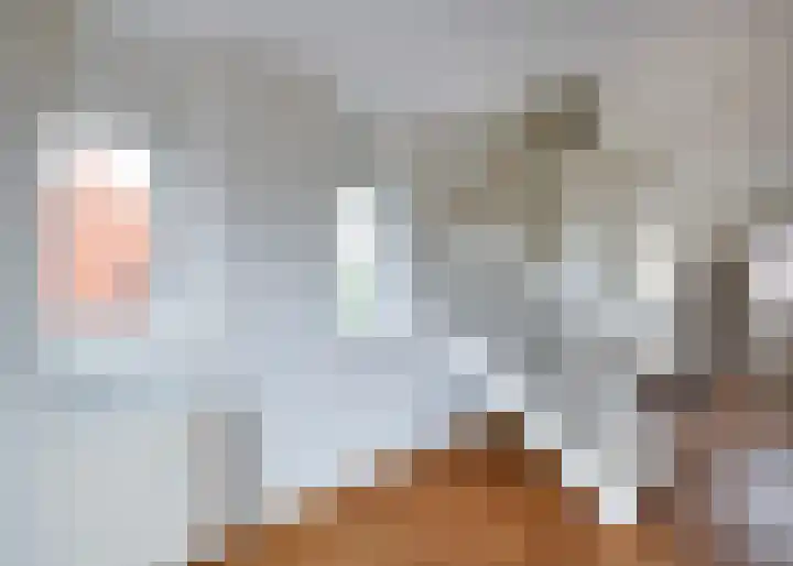Roockershuys 23 Tuitjenhorn thumbnail 18