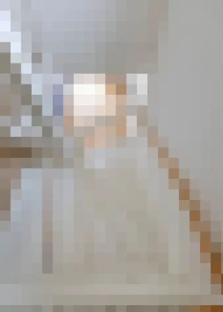 Roockershuys 23 Tuitjenhorn thumbnail 19