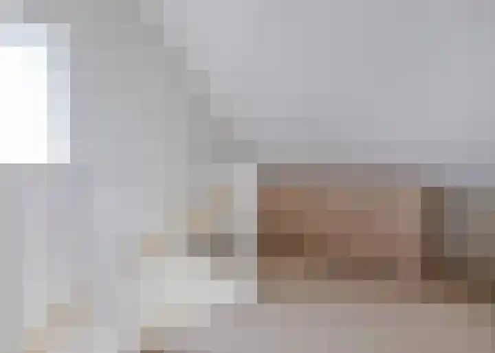 Roockershuys 23 Tuitjenhorn thumbnail 20