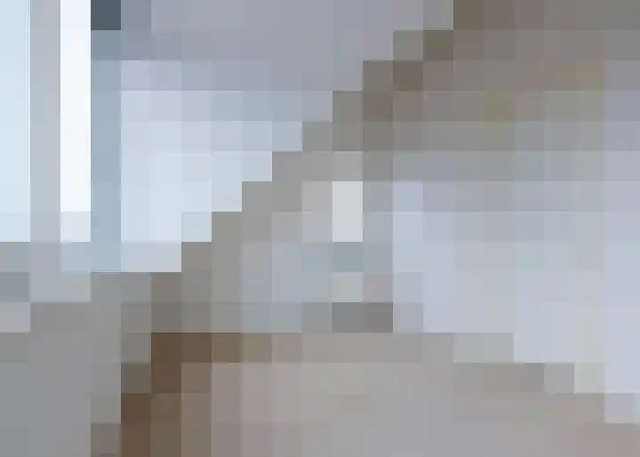 Roockershuys 23 Tuitjenhorn thumbnail 21
