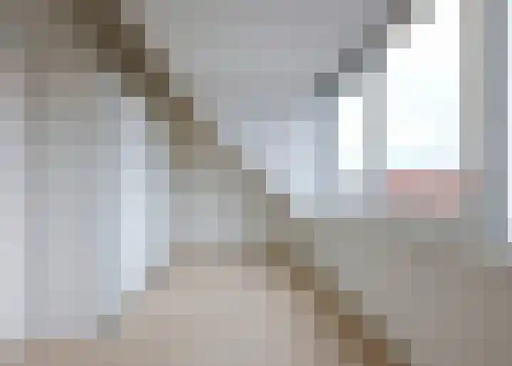 Roockershuys 23 Tuitjenhorn thumbnail 22