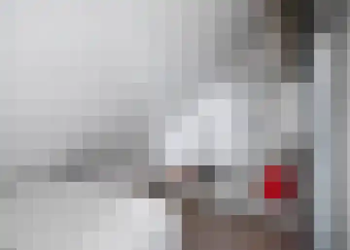 Roockershuys 23 Tuitjenhorn thumbnail 25